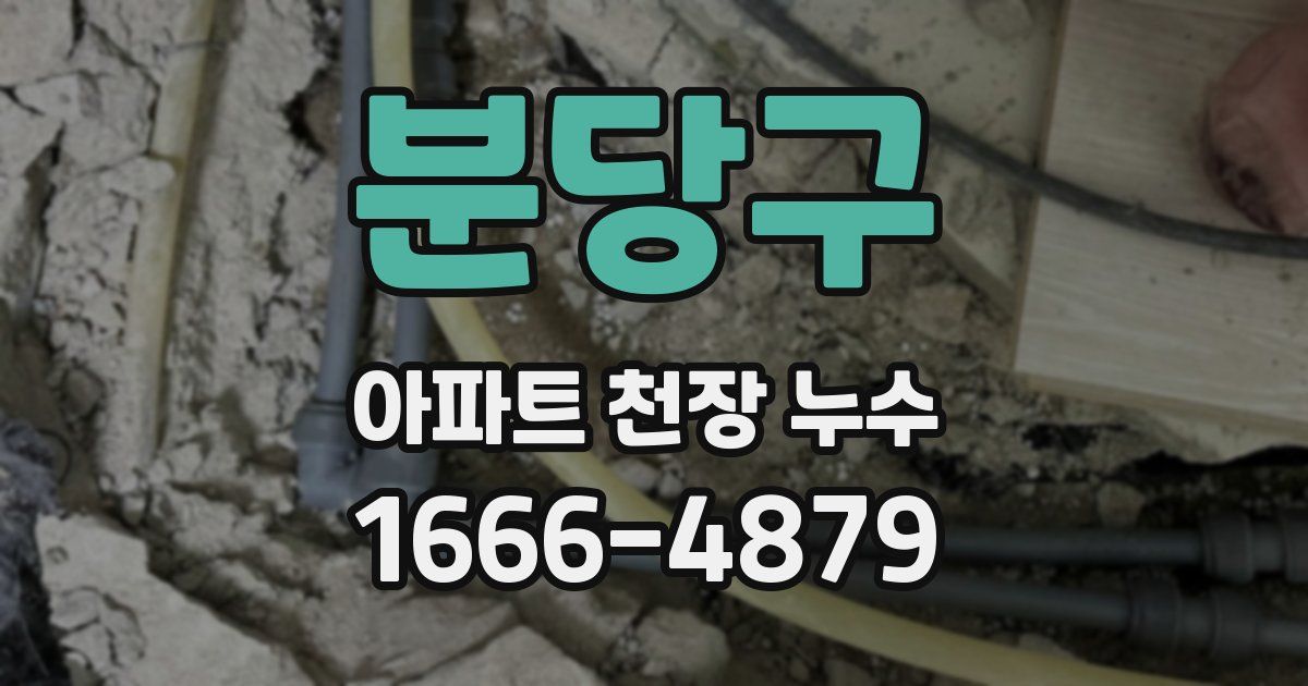 분당구 아파트 천장 누수