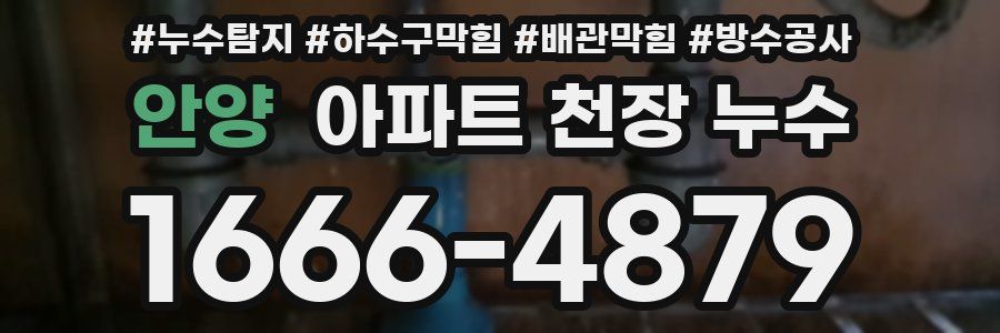 안양 아파트 천장 누수