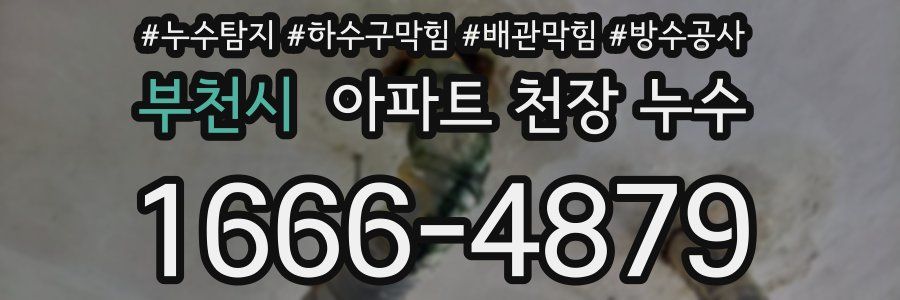 부천시 아파트 천장 누수