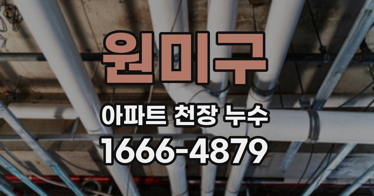 원미구 아파트 천장 누수