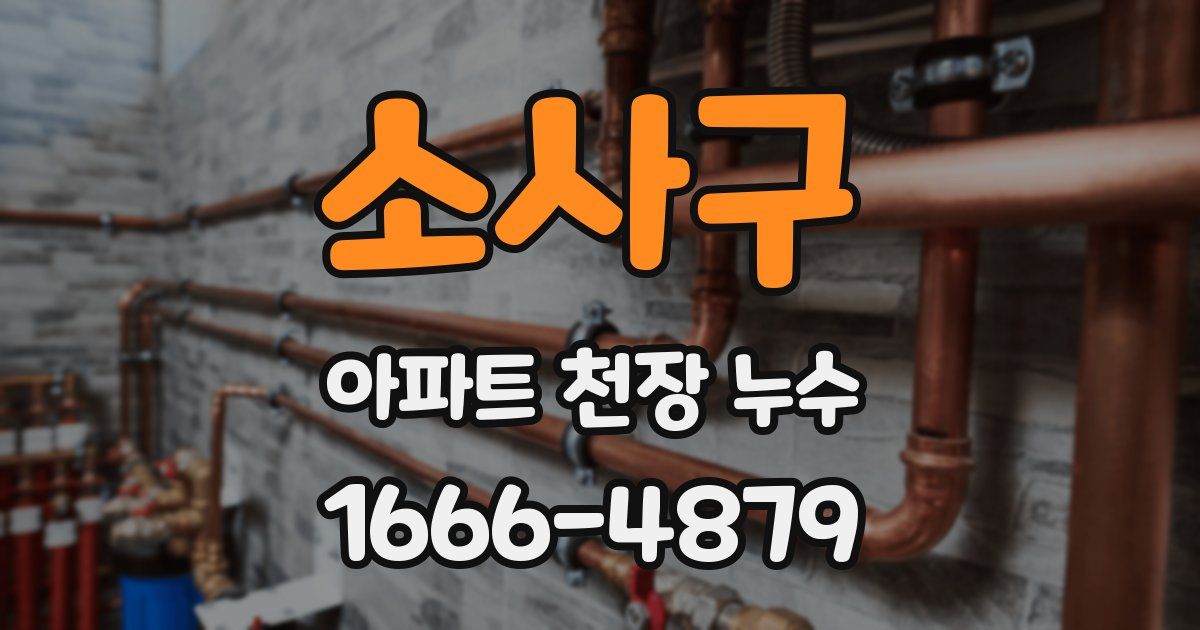 소사구 아파트 천장 누수