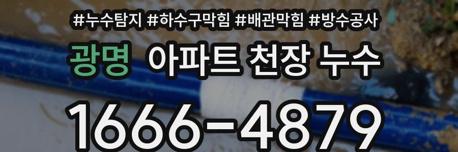 광명 아파트 천장 누수