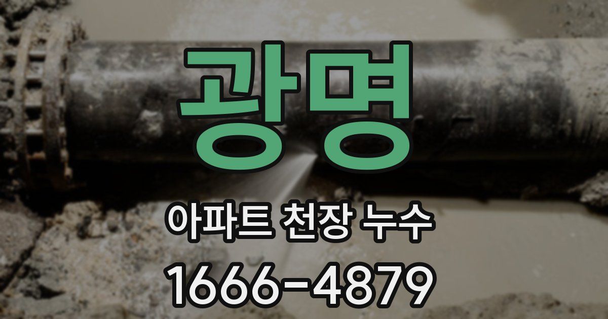 광명 아파트 천장 누수