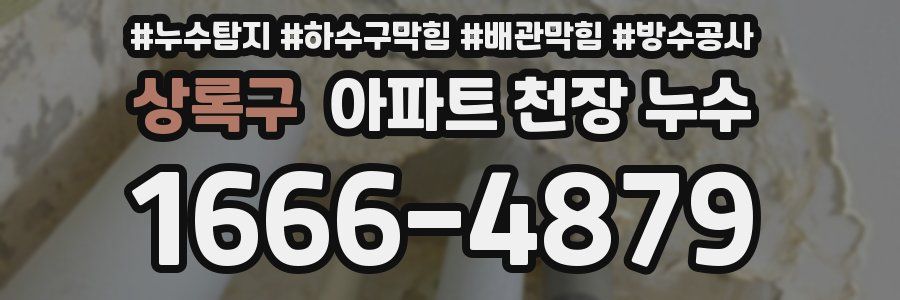 상록구 아파트 천장 누수