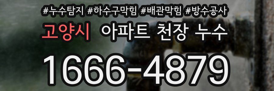 고양시 아파트 천장 누수