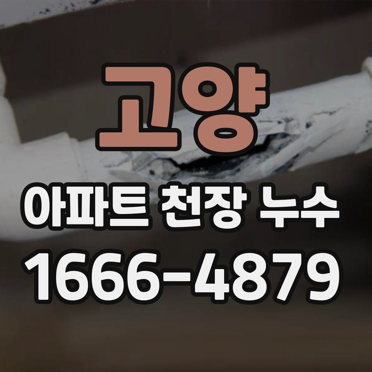 고양 아파트 천장 누수