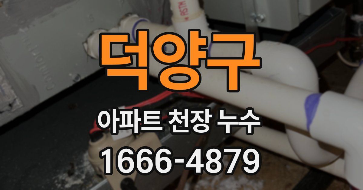 덕양구 아파트 천장 누수