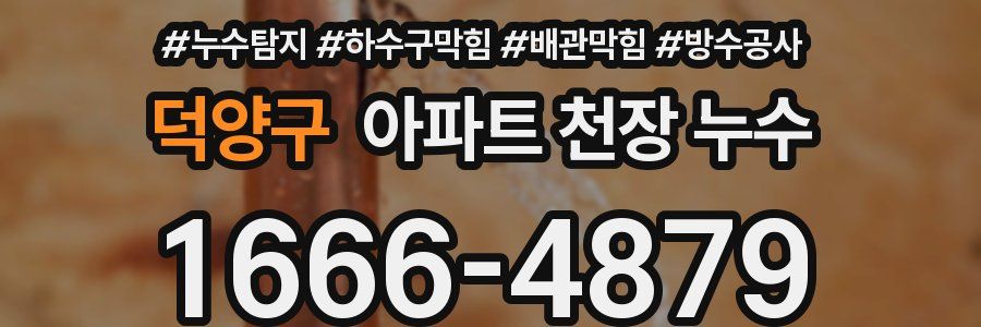 덕양구 아파트 천장 누수