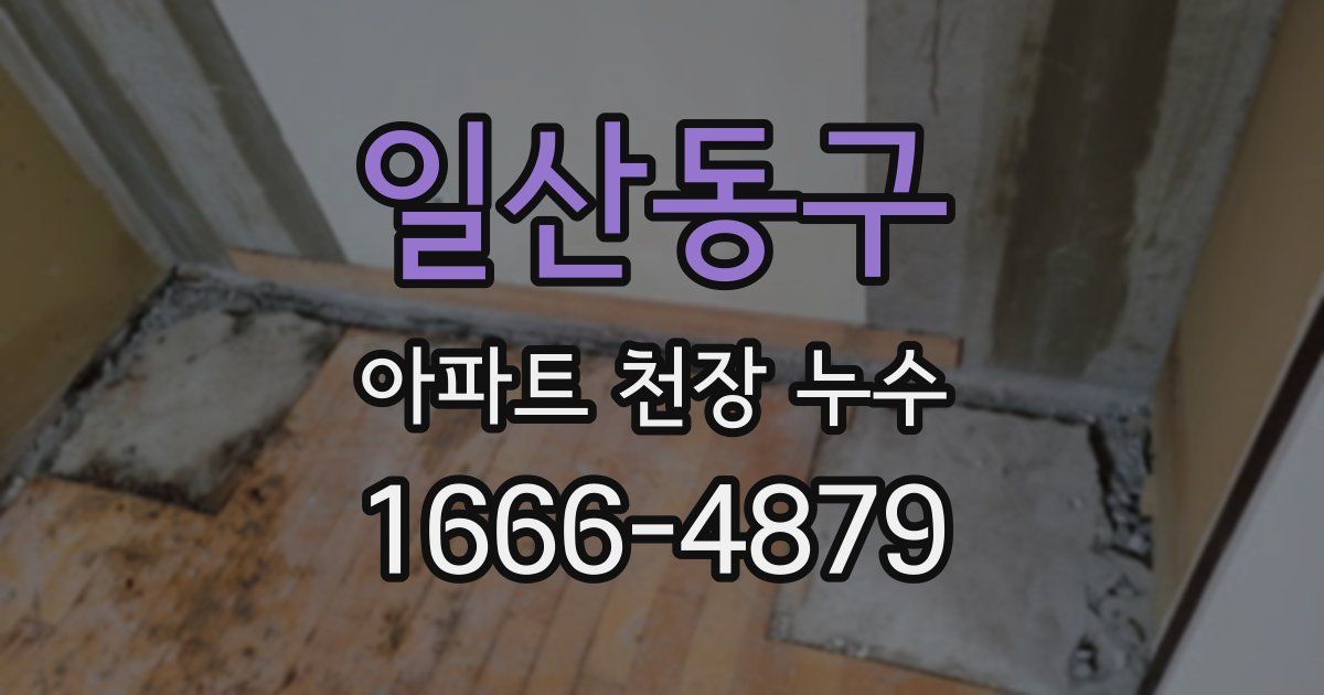 일산동구 아파트 천장 누수