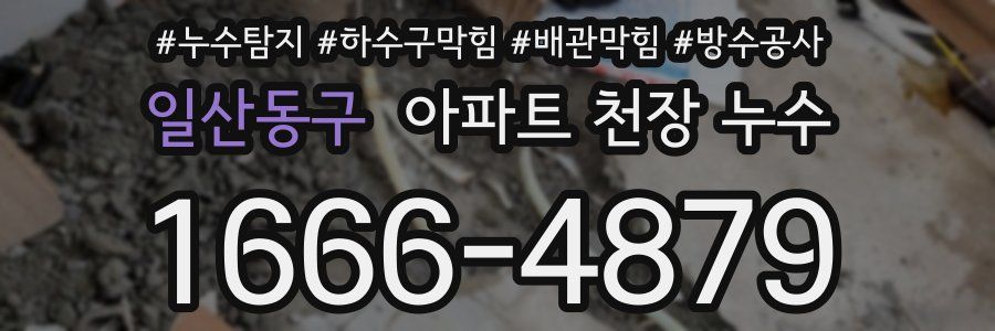 일산동구 아파트 천장 누수