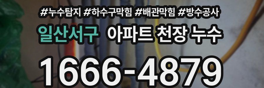 일산서구 아파트 천장 누수