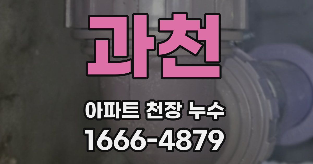 과천 아파트 천장 누수