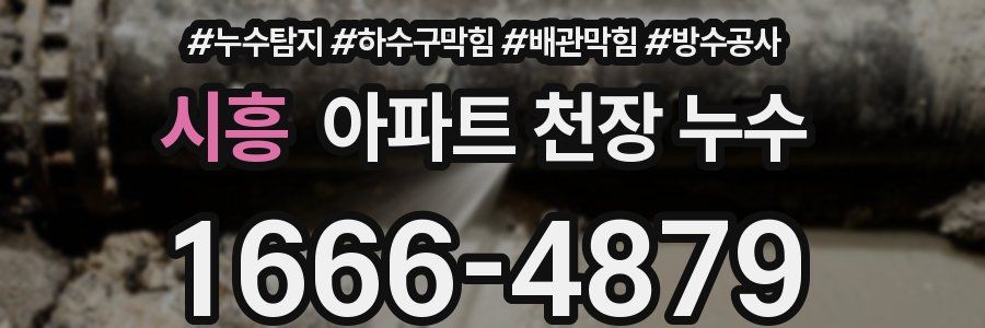 시흥 아파트 천장 누수