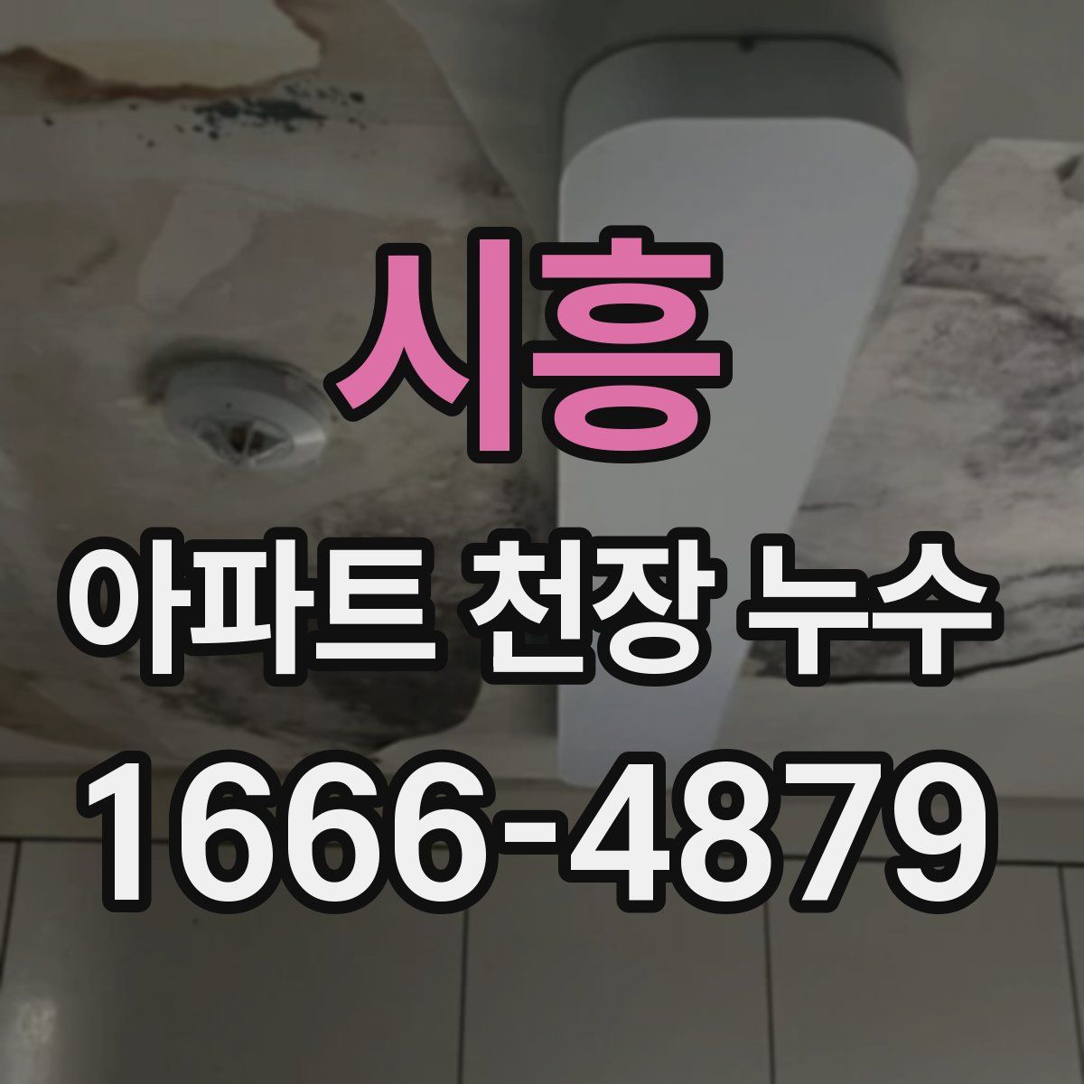 시흥 아파트 천장 누수