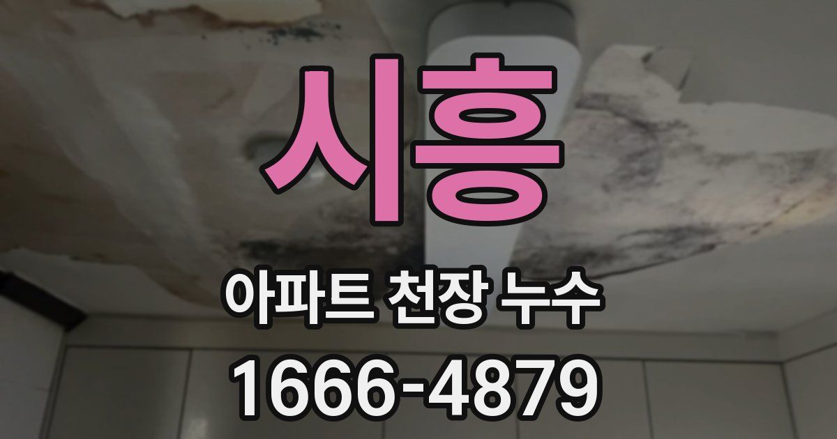 시흥 아파트 천장 누수