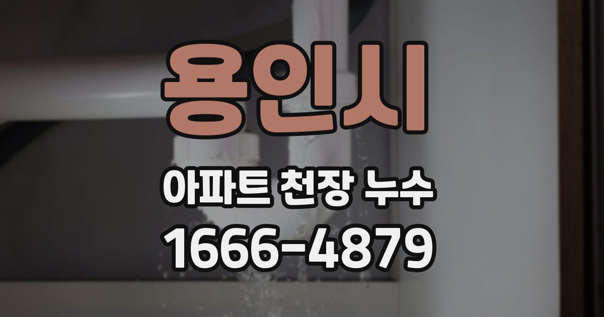 용인시 아파트 천장 누수