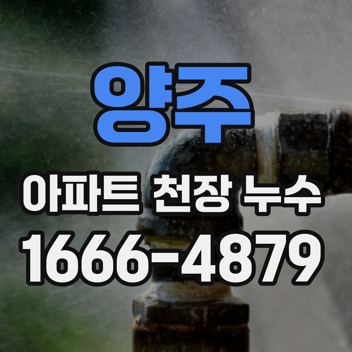 양주 아파트 천장 누수