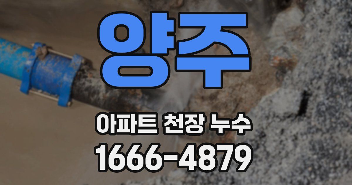 양주 아파트 천장 누수