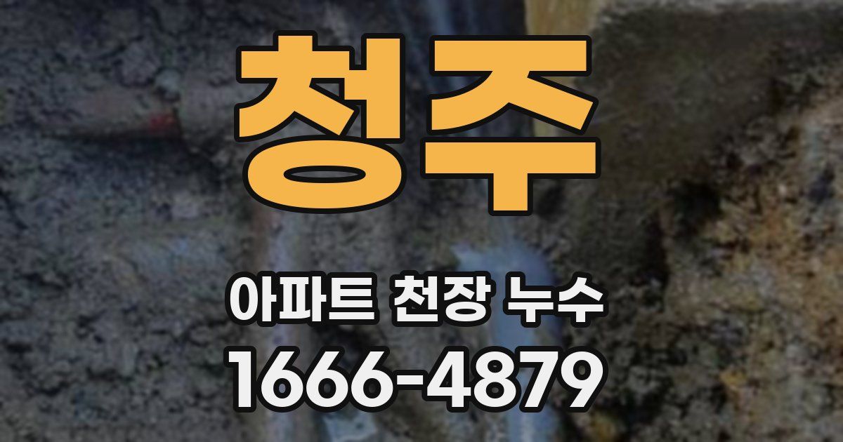청주 아파트 천장 누수