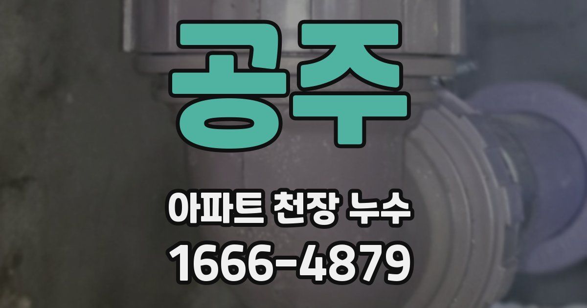 공주 아파트 천장 누수