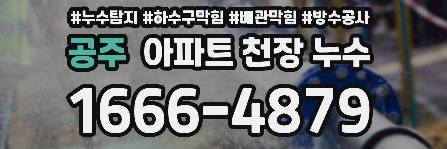 공주 아파트 천장 누수