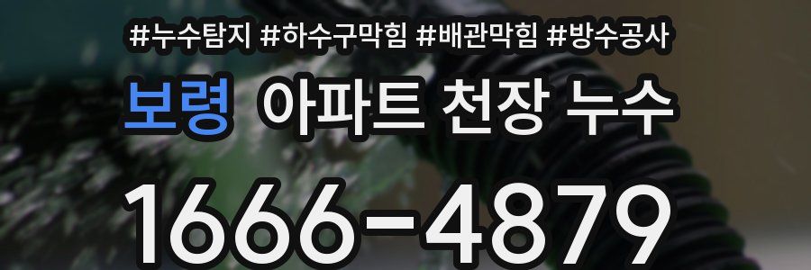 보령 아파트 천장 누수