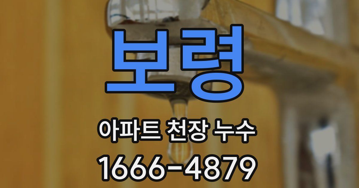 보령 아파트 천장 누수