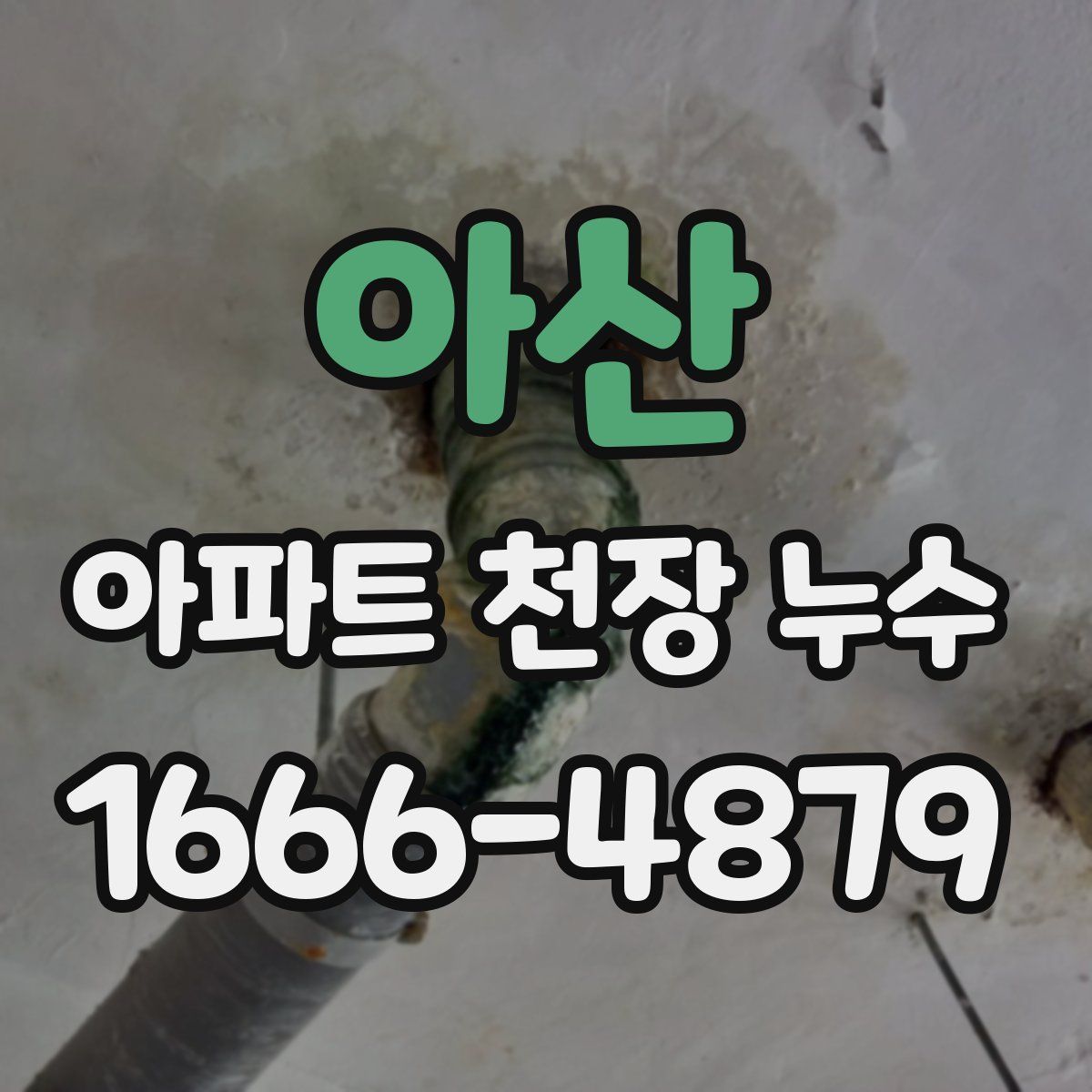 아산 아파트 천장 누수