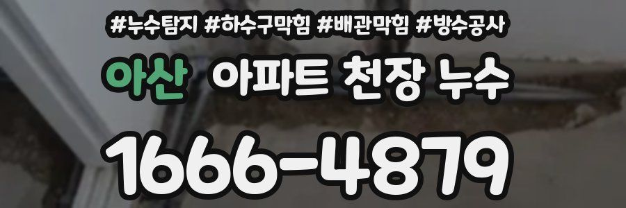 아산 아파트 천장 누수