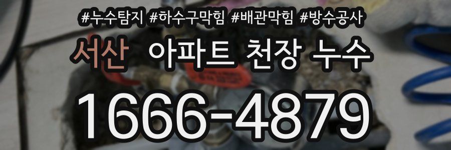 서산 아파트 천장 누수