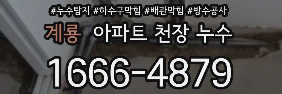 계룡 아파트 천장 누수