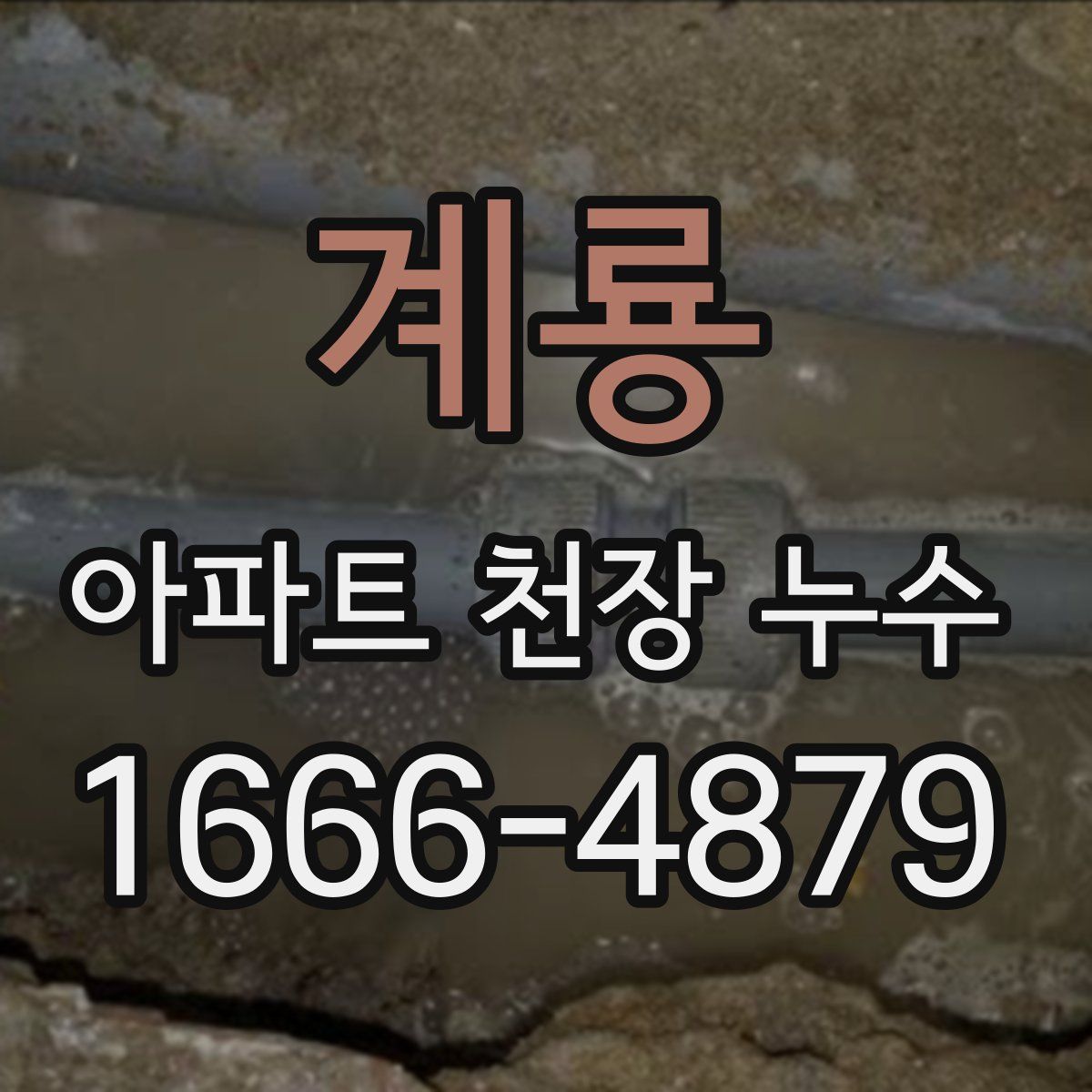 계룡 아파트 천장 누수