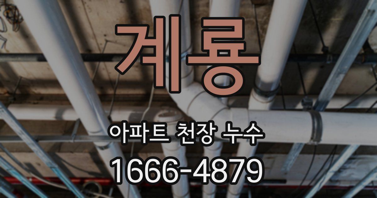 계룡 아파트 천장 누수