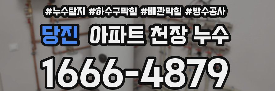 당진 아파트 천장 누수