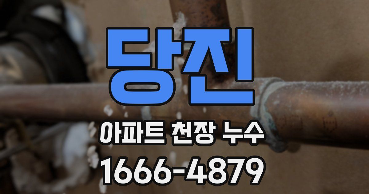 당진 아파트 천장 누수