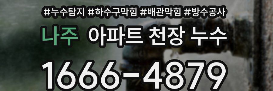 나주 아파트 천장 누수