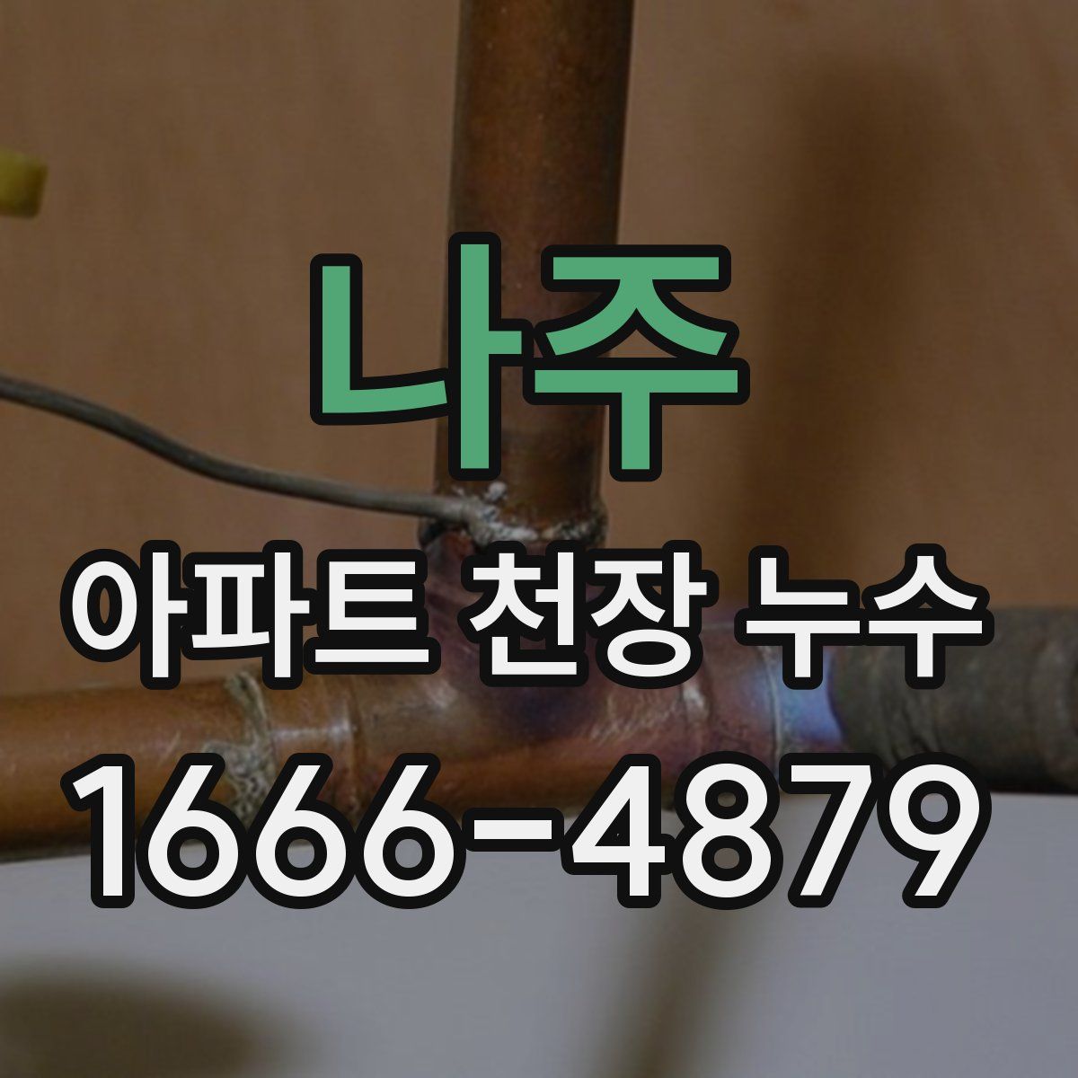 나주 아파트 천장 누수