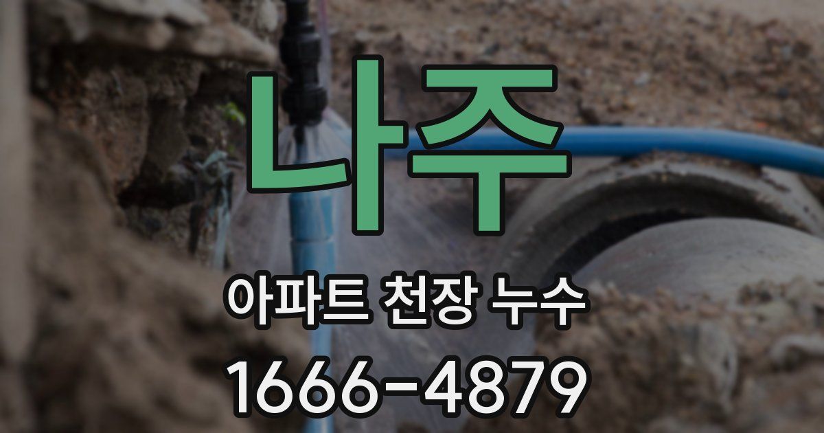 나주 아파트 천장 누수