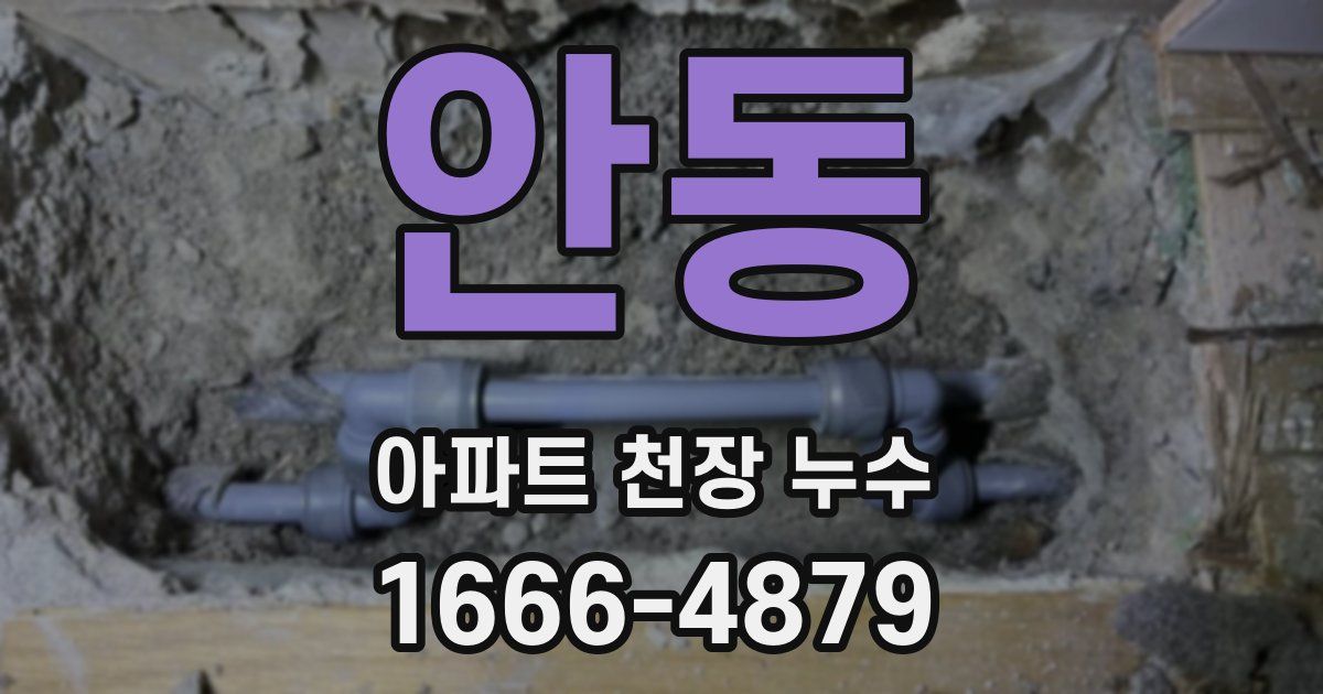 안동 아파트 천장 누수