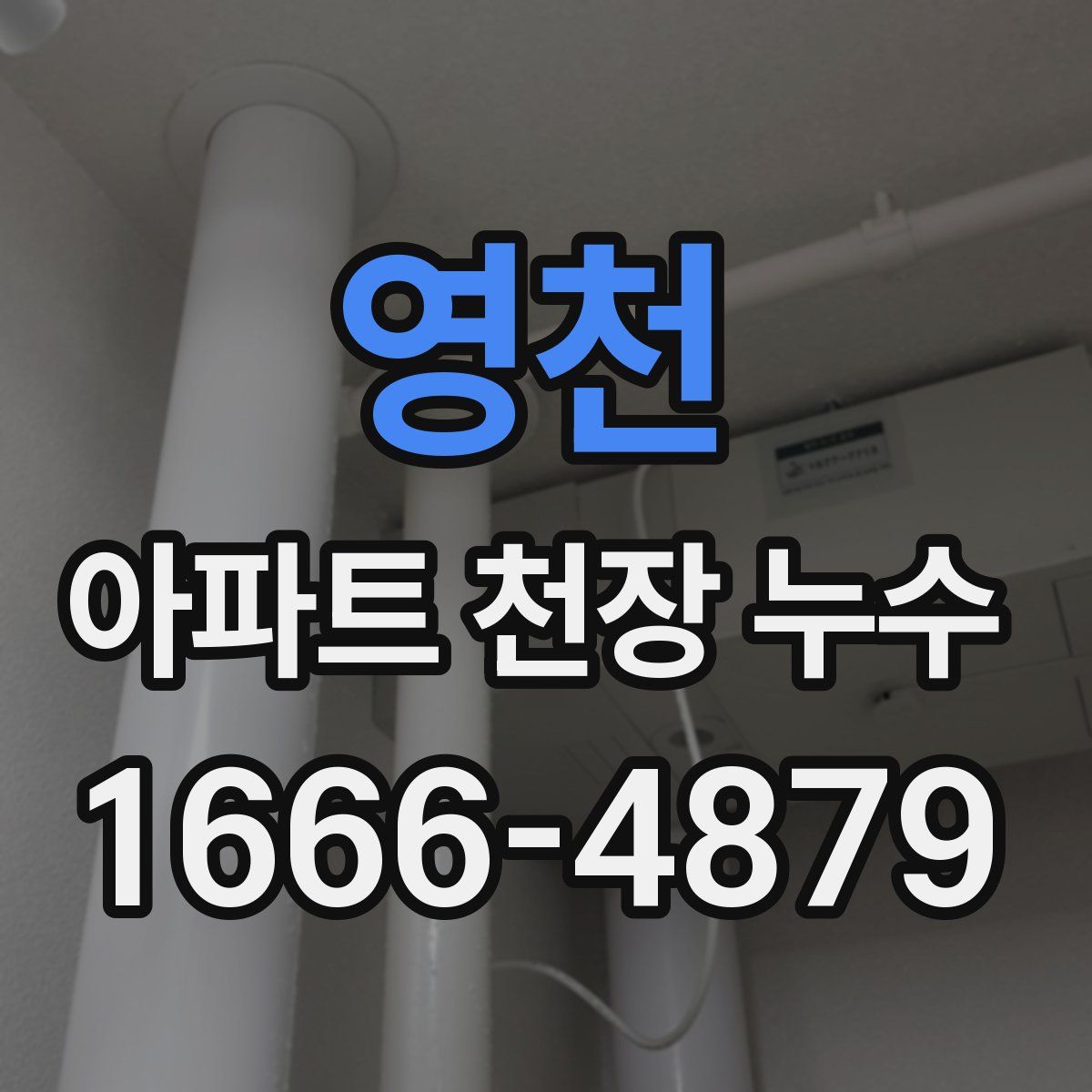 영천 아파트 천장 누수
