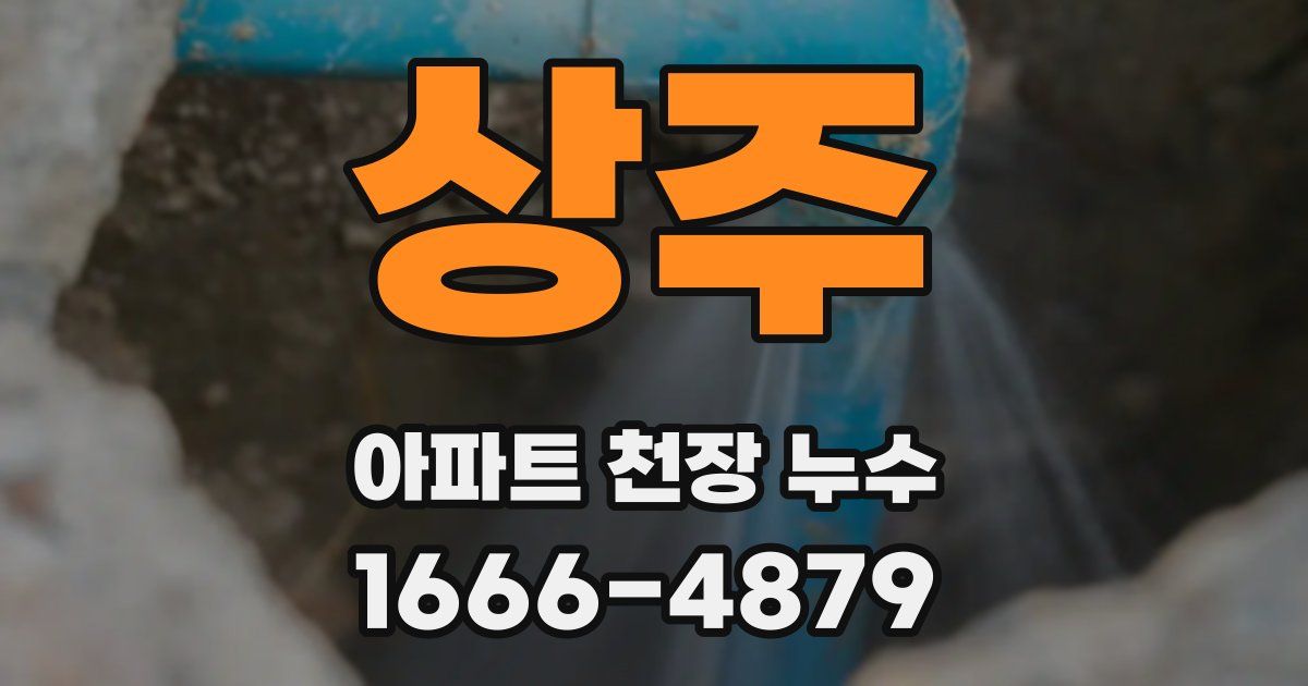 상주 아파트 천장 누수