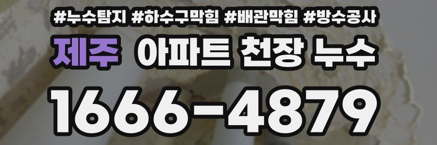 제주 아파트 천장 누수