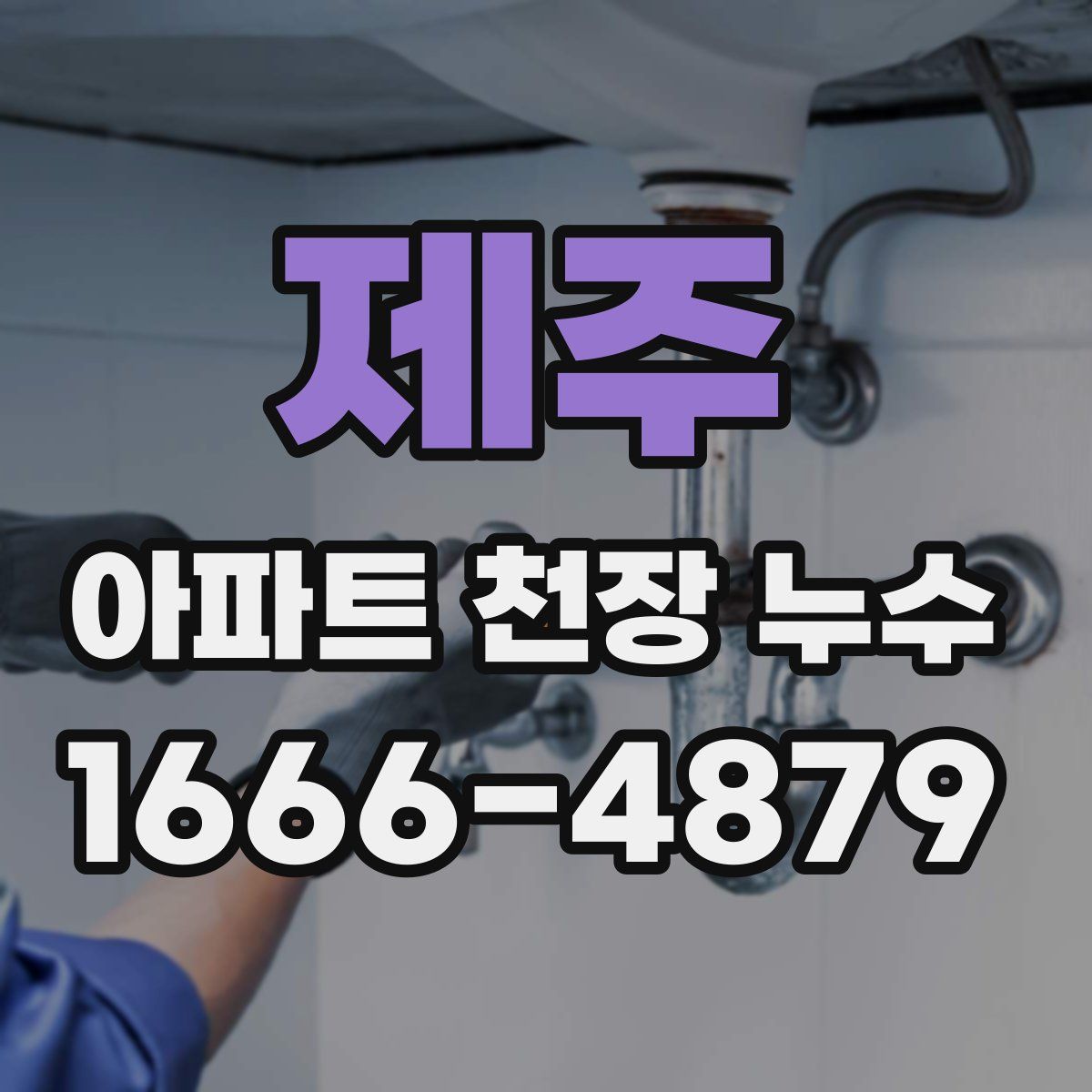 제주 아파트 천장 누수
