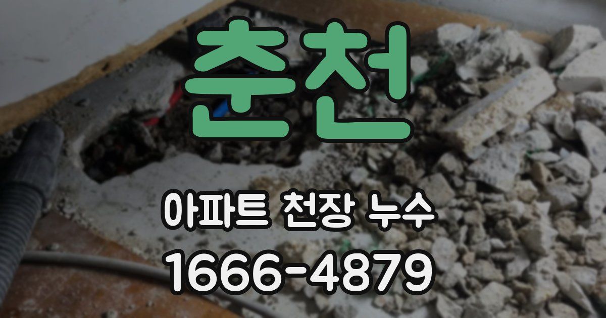 춘천 아파트 천장 누수
