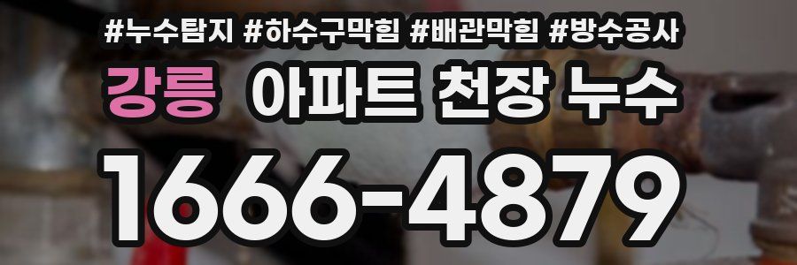 강릉 아파트 천장 누수