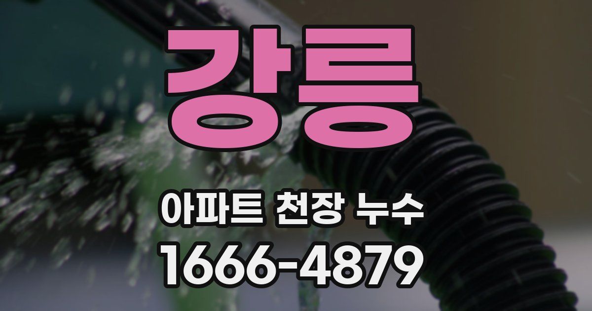 강릉 아파트 천장 누수