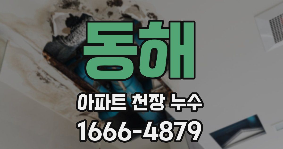 동해 아파트 천장 누수