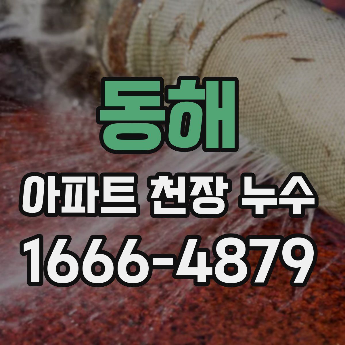 동해 아파트 천장 누수