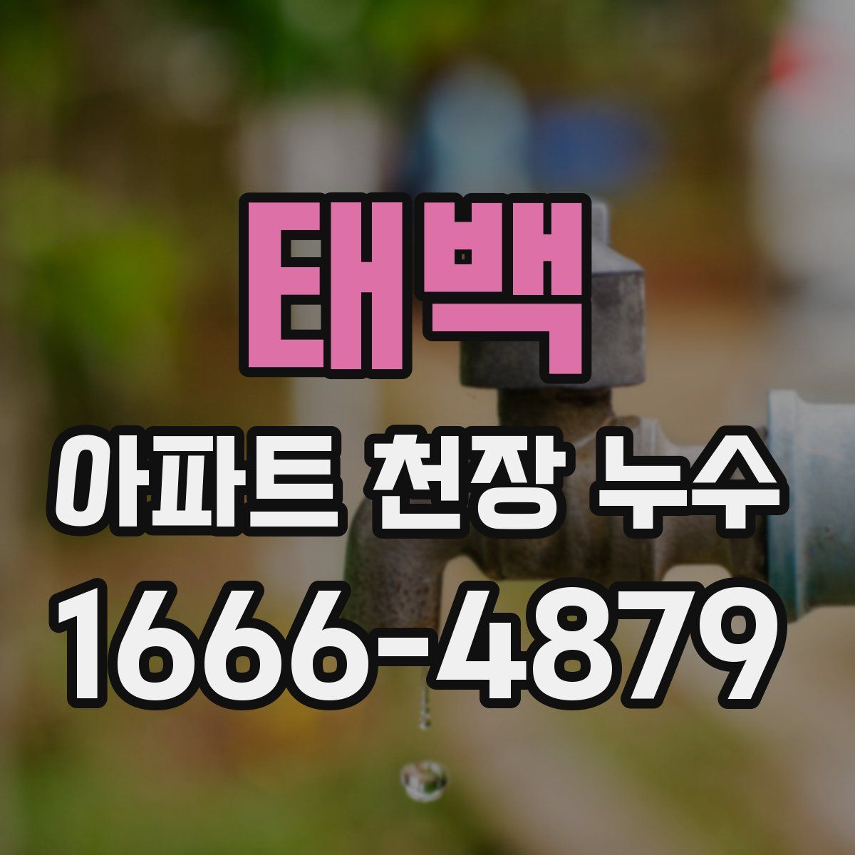 태백 아파트 천장 누수
