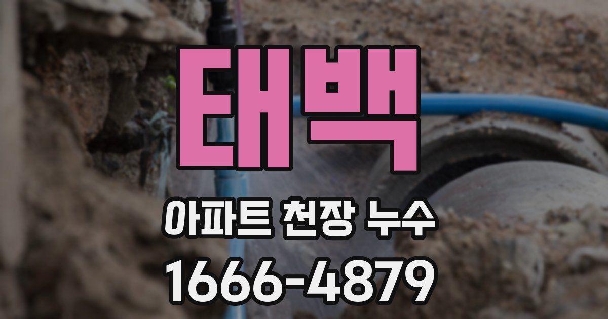 태백 아파트 천장 누수